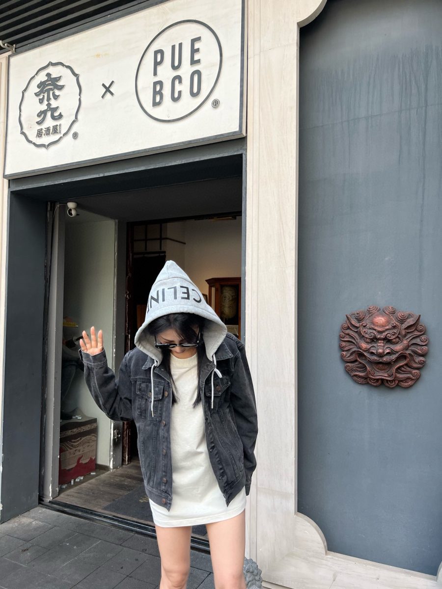 Denim Jacket. Womens dress