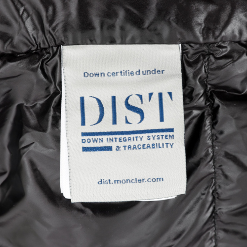 Down Jackets Mens wear